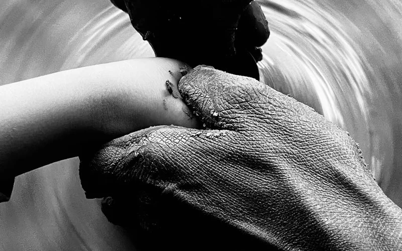 宝石迷阵老虎机